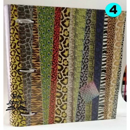 Carpeta Rivadavia+Rep 96 HS RAY + Rep 48 hs cuadro + sep Rivadavia