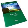 Block Avon A4 perforado cuadriculado,rayado,liso  x 80 hojas