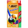 Pinturitas Bic Evolution x 12 largos mas 3 lápices grafito Bic Evolution
