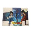 CARPETA N°5 dos Tapas DRAGON BALL